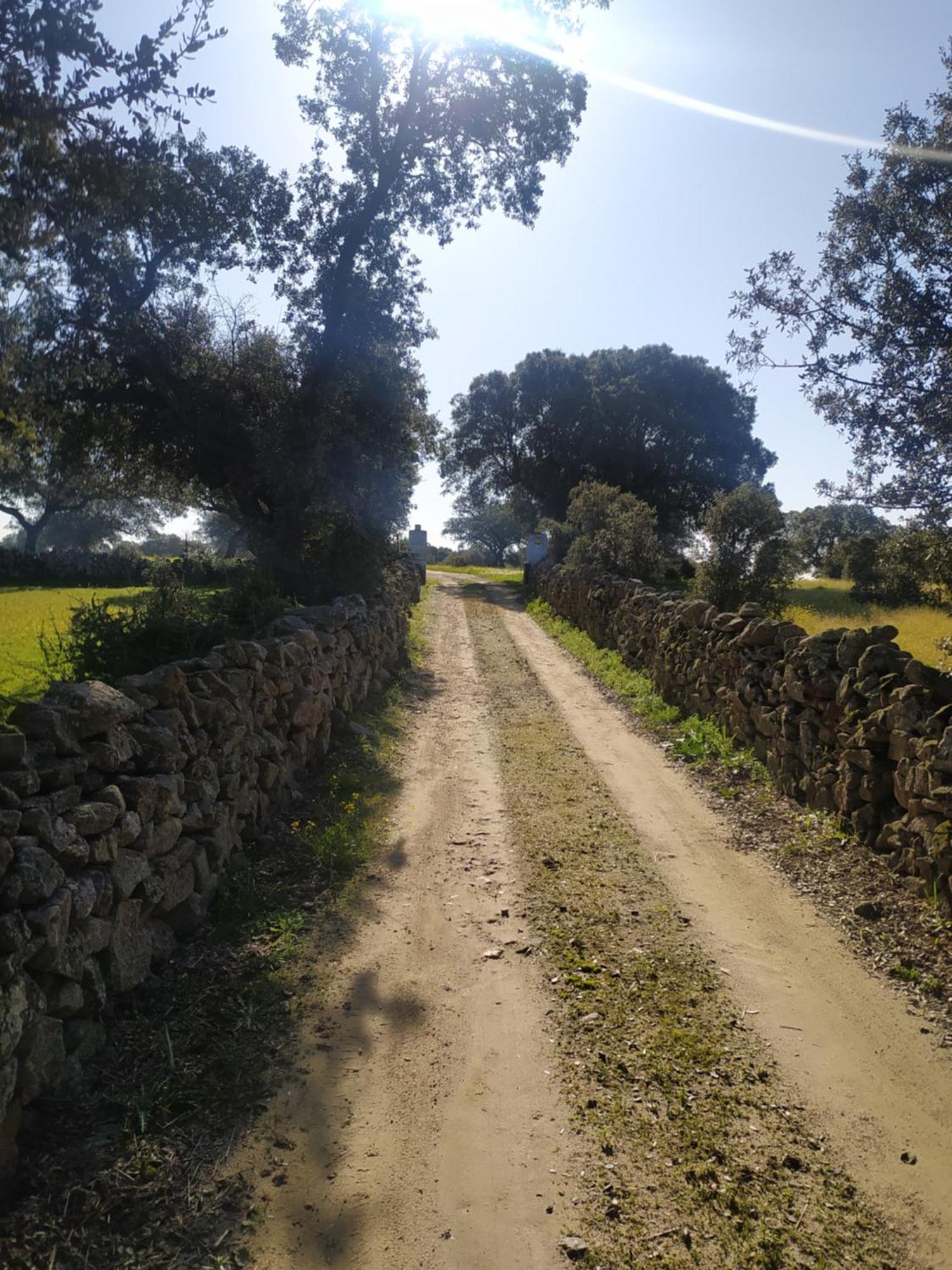 Finca Las Gamitas Almoharin ภายนอก รูปภาพ