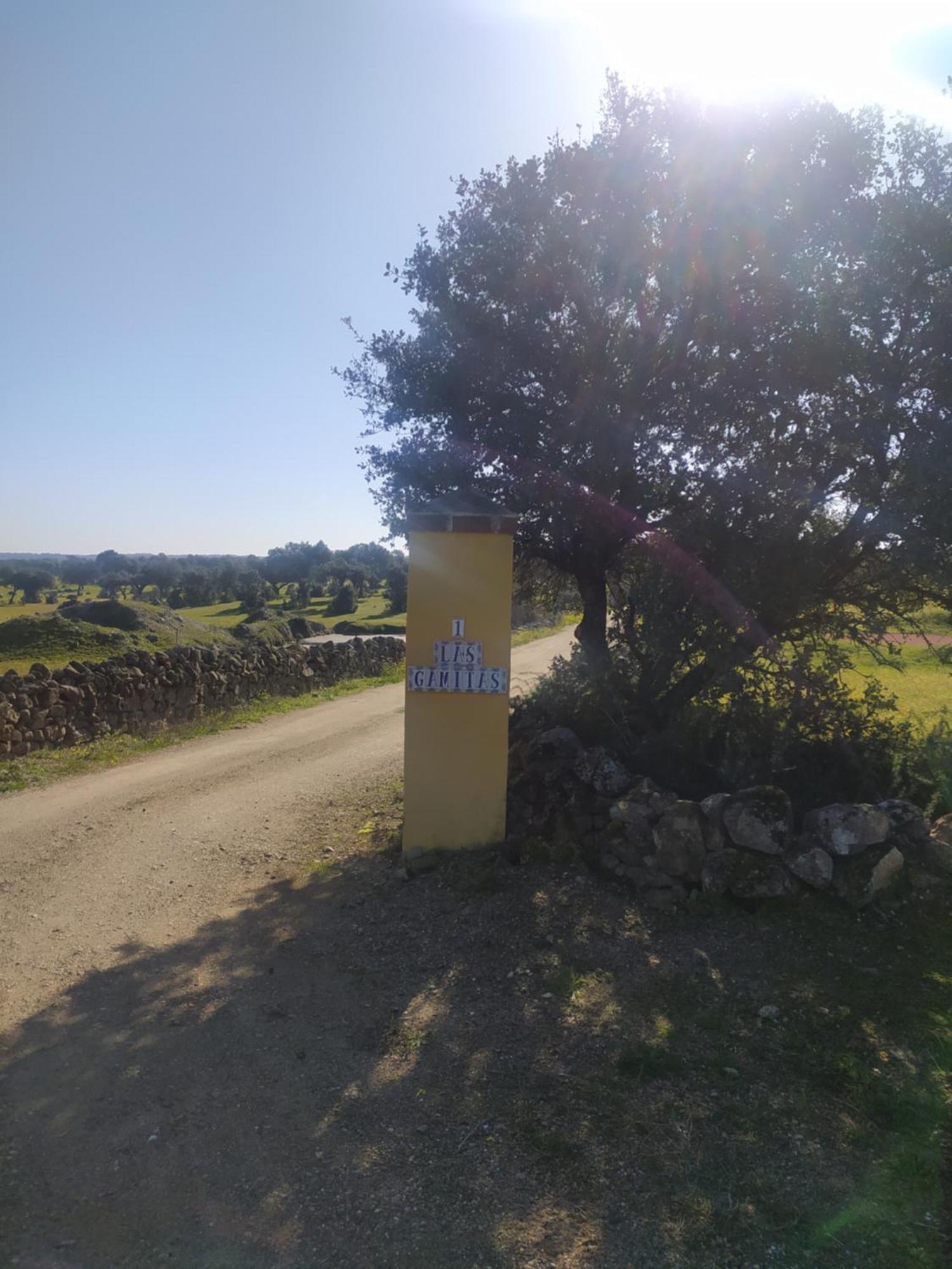 Finca Las Gamitas Almoharin ภายนอก รูปภาพ